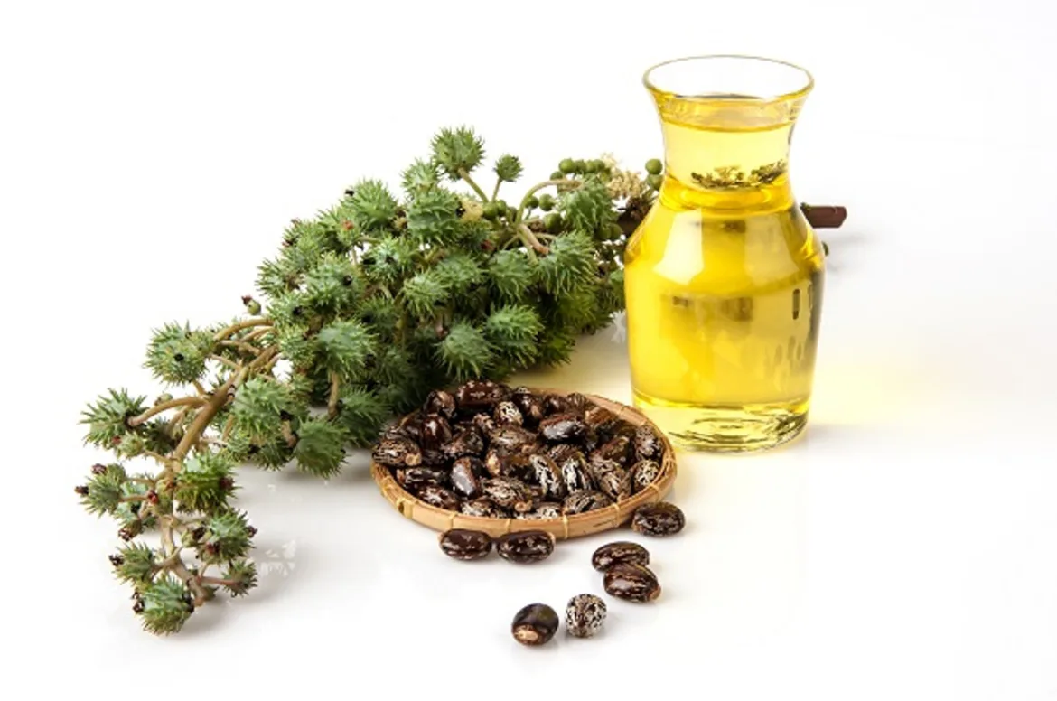 amazing benefits of Castor Oil