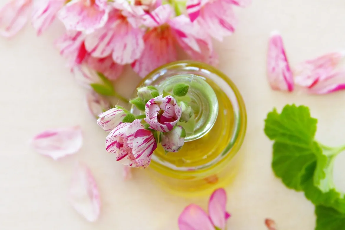 Argan Oil vs Coconut Oil: Which Is Better for Your Hair and Skin? Argan Oil vs Coconut Oil