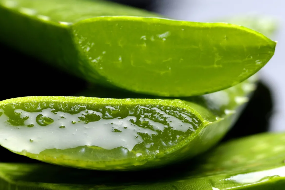 Aloe Vera Beauty Hacks Aloe Vera